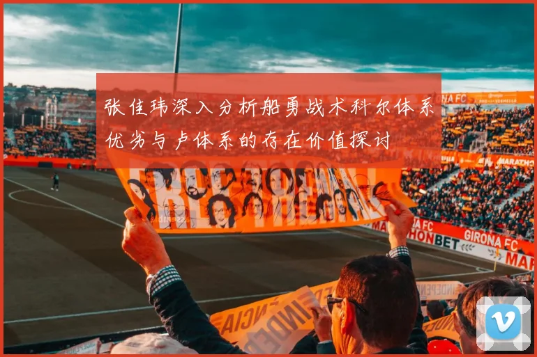 张佳玮深入分析船勇战术科尔体系优劣与卢体系的存在价值探讨